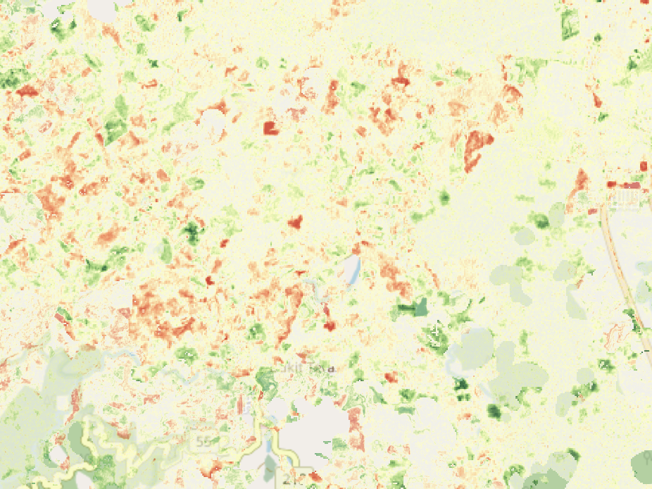 Satellite vegetation and fuel risk analysis